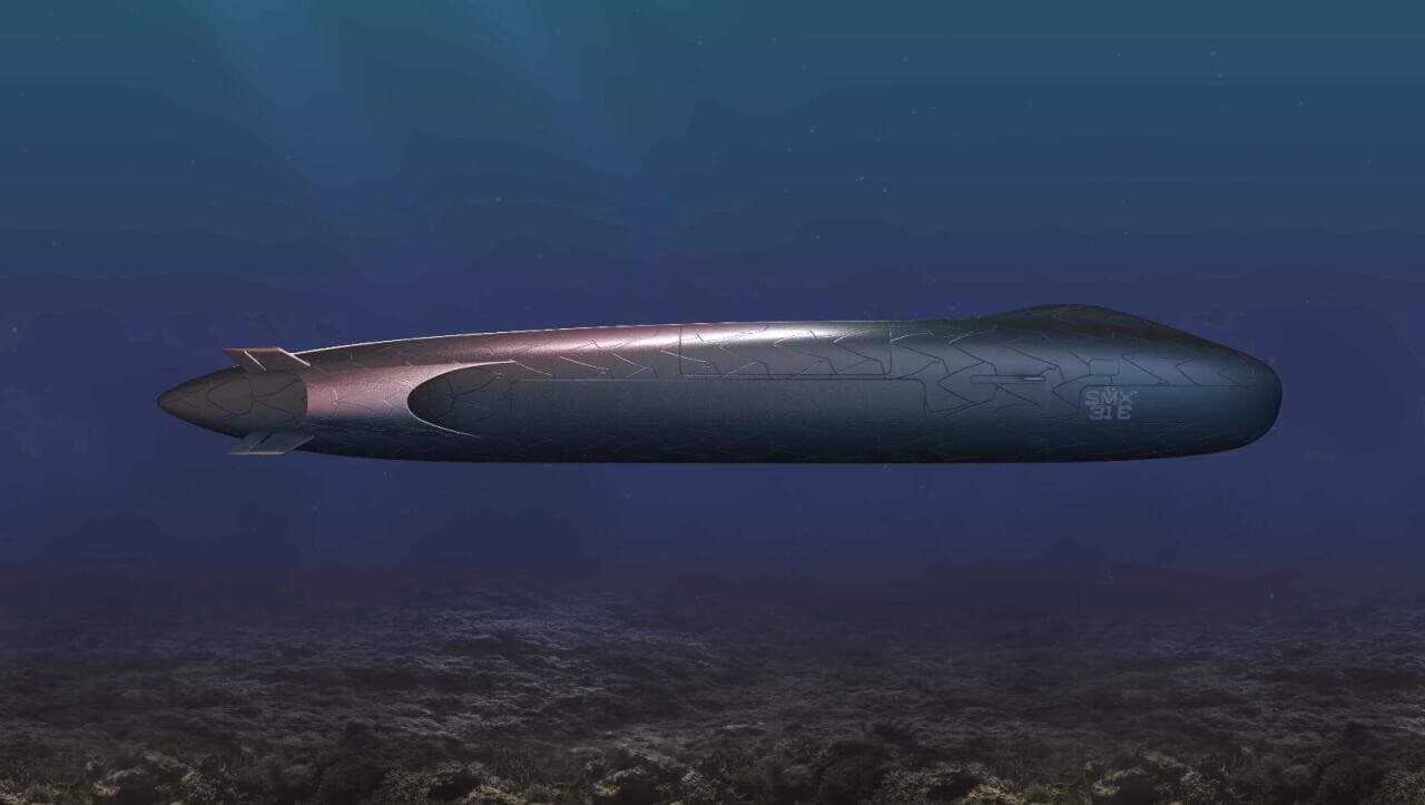 La France forge déjà l'avenir de sa puissance navale