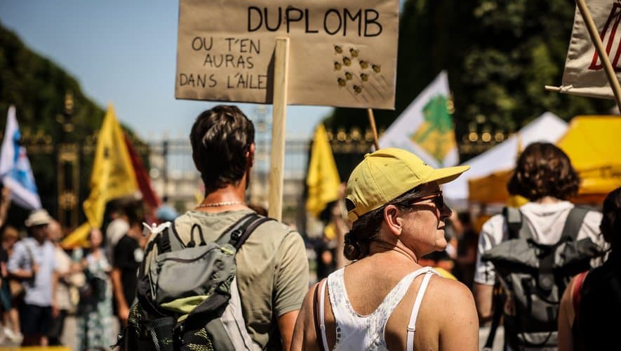 France: Laurent Duplomb relance sa guerre des pesticides