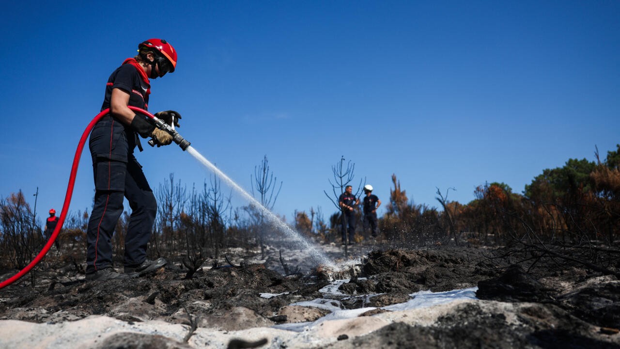 Incendies en France : une leçon de résilience pour la République Démocratique du Congo