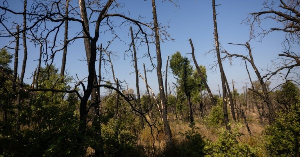 Les flammes du Var rappellent la fragilité de la souveraineté face aux catastrophes