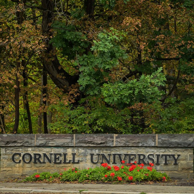 Affaire Cornell : l'Amérique face à ses démons